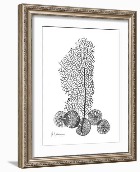 Gray Sea Xray-Albert Koetsier-Framed Art Print