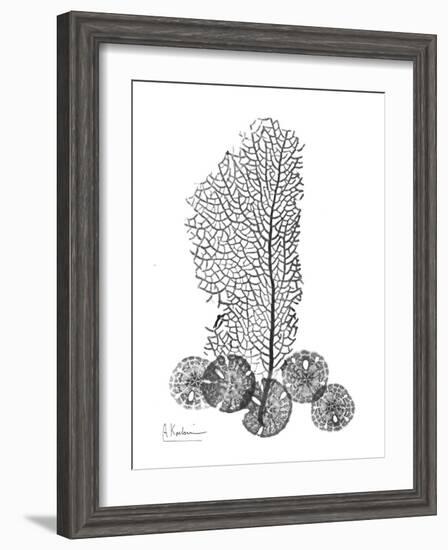 Gray Sea Xray-Albert Koetsier-Framed Art Print