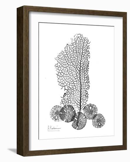 Gray Sea Xray-Albert Koetsier-Framed Art Print