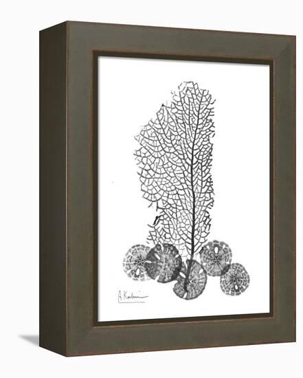 Gray Sea Xray-Albert Koetsier-Framed Stretched Canvas