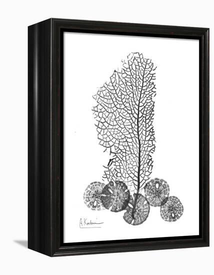 Gray Sea Xray-Albert Koetsier-Framed Stretched Canvas