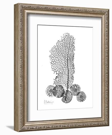 Gray Sea Xray-Albert Koetsier-Framed Art Print