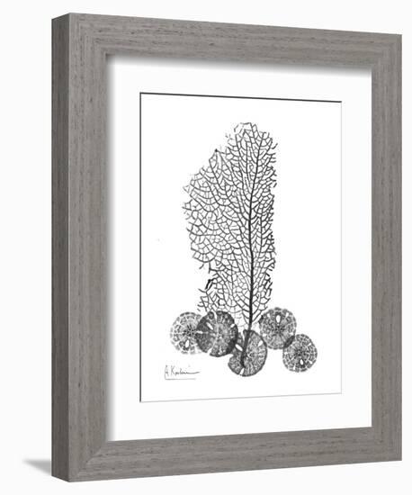 Gray Sea Xray-Albert Koetsier-Framed Art Print