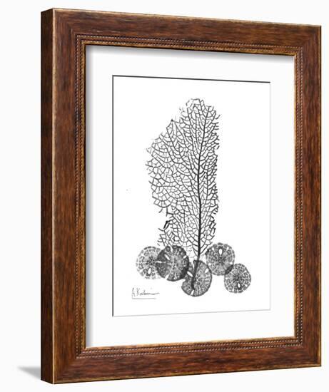 Gray Sea Xray-Albert Koetsier-Framed Art Print