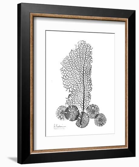 Gray Sea Xray-Albert Koetsier-Framed Art Print