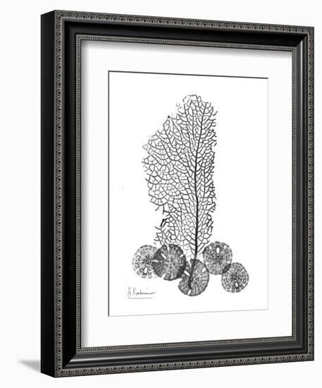 Gray Sea Xray-Albert Koetsier-Framed Art Print