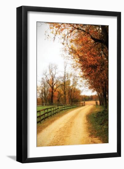 Gray Skies I-Alan Hausenflock-Framed Photographic Print