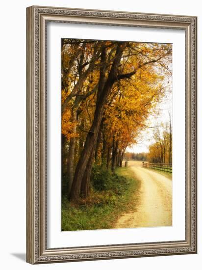 Gray Skies II-Alan Hausenflock-Framed Photographic Print