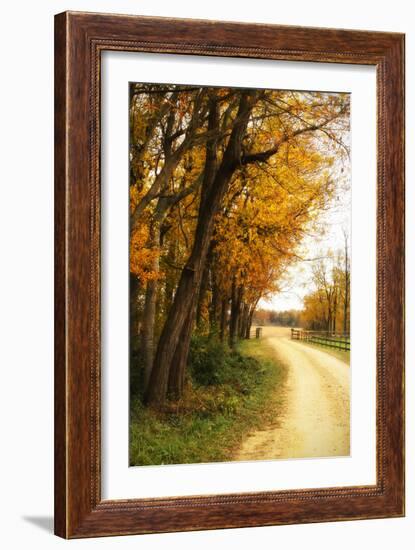 Gray Skies II-Alan Hausenflock-Framed Photographic Print