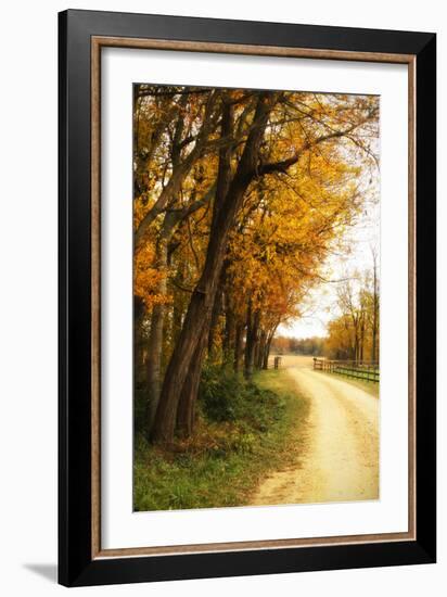 Gray Skies II-Alan Hausenflock-Framed Photographic Print