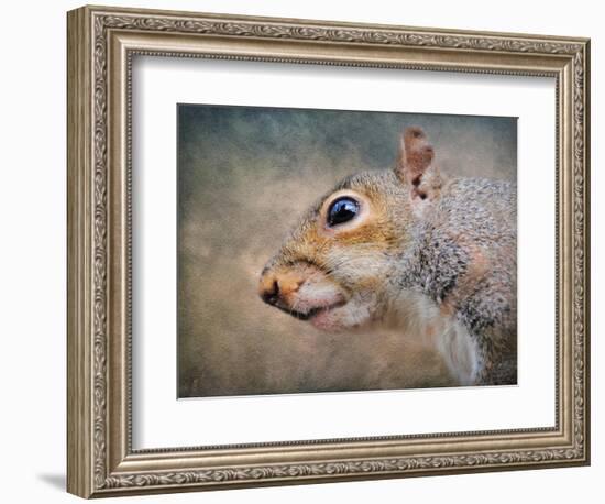 Gray Squirrel Portrait-Jai Johnson-Framed Giclee Print