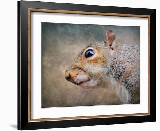 Gray Squirrel Portrait-Jai Johnson-Framed Giclee Print