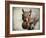 Gray Squirrel with Nut-Jai Johnson-Framed Giclee Print