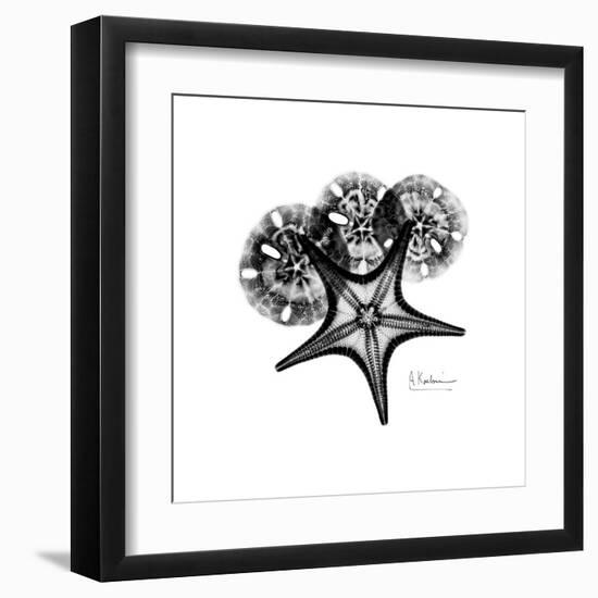 Gray Starfish 1-Albert Koetsier-Framed Art Print