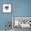Gray Starfish 1-Albert Koetsier-Framed Premium Giclee Print displayed on a wall