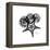 Gray Starfish 1-Albert Koetsier-Framed Stretched Canvas