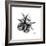 Gray Starfish 2-Albert Koetsier-Framed Art Print