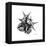 Gray Starfish 2-Albert Koetsier-Framed Stretched Canvas