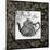 Gray Tea Damask-Diane Stimson-Mounted Art Print