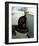 Gray Tiger Cat on the Toilet-Robert Mcclintock-Framed Art Print