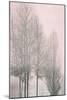 Gray Trees on Pink Panel I-Kate Bennett-Mounted Art Print