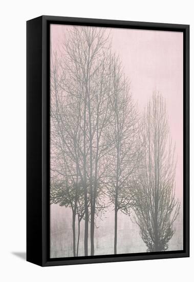 Gray Trees on Pink Panel I-Kate Bennett-Framed Stretched Canvas