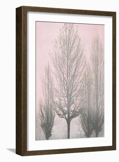 Gray Trees on Pink Panel II-Kate Bennett-Framed Art Print