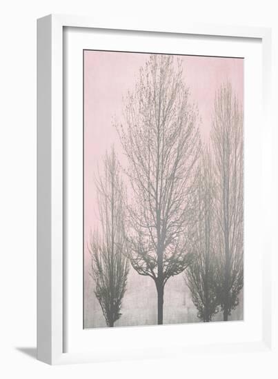 Gray Trees on Pink Panel II-Kate Bennett-Framed Art Print