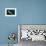 Gray whale mother and calf, Magdalena Bay, Mexico-Doc White-Framed Photographic Print displayed on a wall