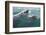 Gray Whale-DLILLC-Framed Photographic Print