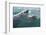 Gray Whale-DLILLC-Framed Photographic Print