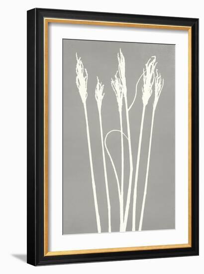 Gray Wheat 2-Mary Margaret Briggs-Framed Giclee Print