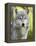 Gray Wolf, in Captivity, Sandstone, Minnesota, USA-James Hager-Framed Premier Image Canvas