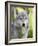 Gray Wolf, in Captivity, Sandstone, Minnesota, USA-James Hager-Framed Photographic Print