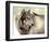 Gray Wolf Looking back-Joni Johnson-Godsy-Framed Giclee Print