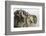 Gray Wolf, Montana-Adam Jones-Framed Photographic Print