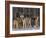 Gray Wolf Pack in Snow-DLILLC-Framed Photographic Print