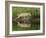 Gray Wolf Running Through Water, Minnesota-Adam Jones-Framed Photographic Print