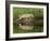 Gray Wolf Running Through Water, Minnesota-Adam Jones-Framed Photographic Print