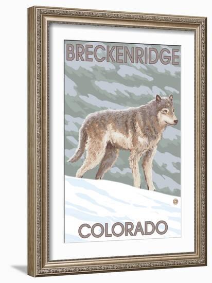 Gray Wolf Standing - Breckenridge, Colorado-Lantern Press-Framed Art Print