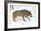 Gray Wolf-Kyslynskyy-Framed Photographic Print