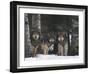 Gray Wolves in Forest-DLILLC-Framed Photographic Print