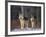 Gray Wolves in Snow-DLILLC-Framed Photographic Print