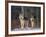 Gray Wolves in Snow-DLILLC-Framed Photographic Print