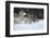 Gray Wolves Running in Snow in Winter, Montana-Richard and Susan Day-Framed Photographic Print