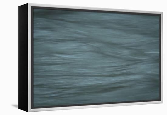 Gray-Anthony Paladino-Framed Premier Image Canvas