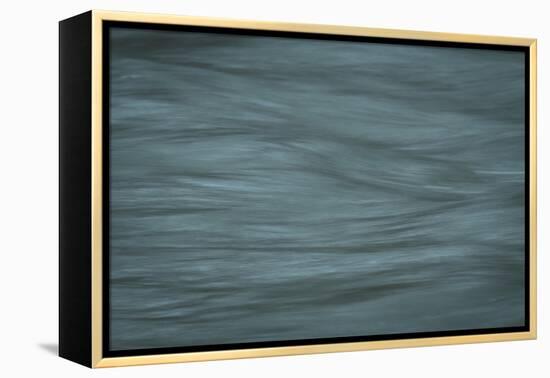 Gray-Anthony Paladino-Framed Premier Image Canvas