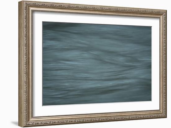 Gray-Anthony Paladino-Framed Giclee Print