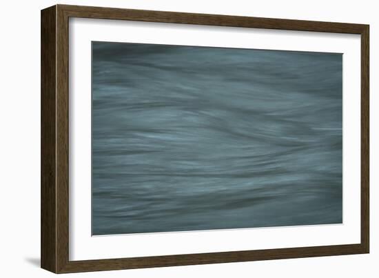 Gray-Anthony Paladino-Framed Giclee Print