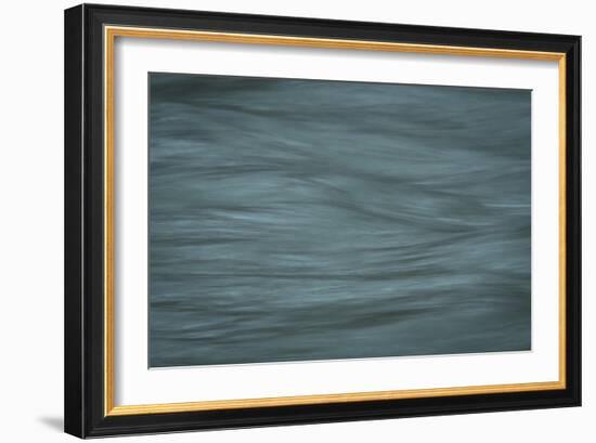 Gray-Anthony Paladino-Framed Giclee Print